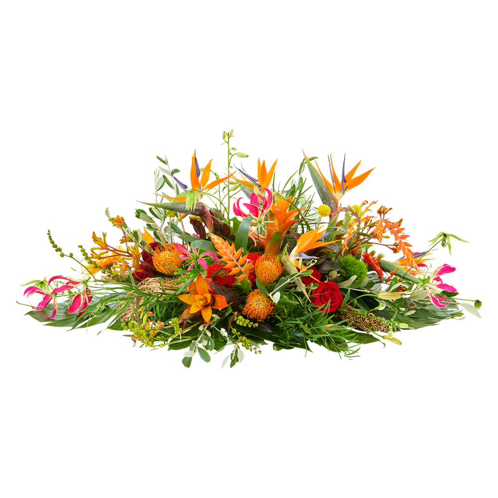 Exotische tuin Exotische tuin