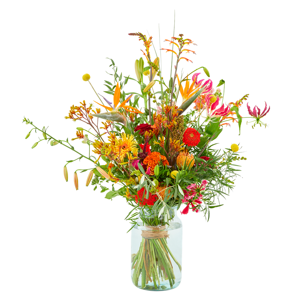 Exotische tuin Exotische tuin